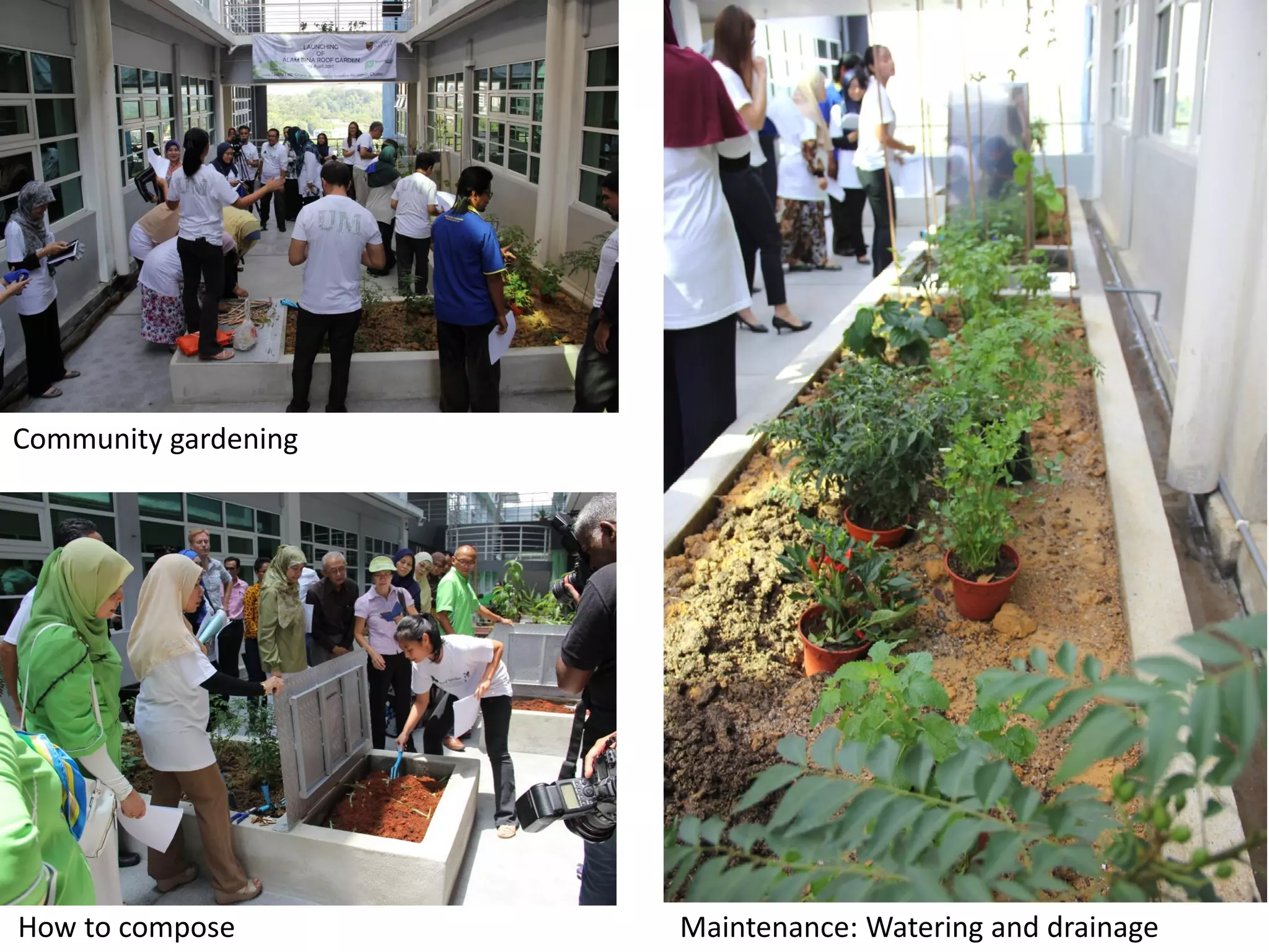 Community gardening, composting and maintenance activities. Photo credit: Hazreena Hussein, Therapeutic Gardens in Malaysia (2019).