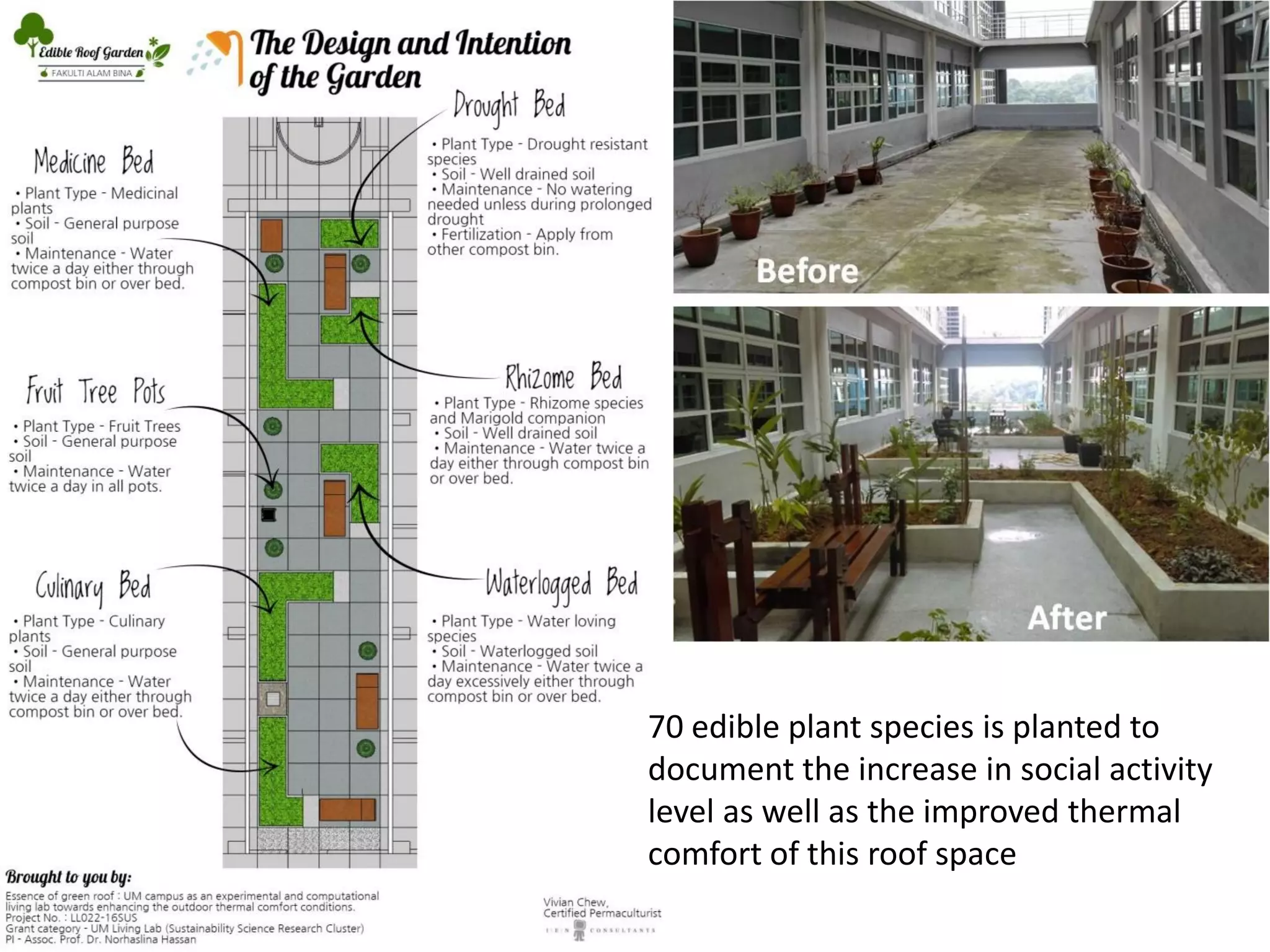 Garden design and the transformation of the roof space. Photo credit: Hazreena Hussein, Therapeutic Gardens in Malaysia (2019).